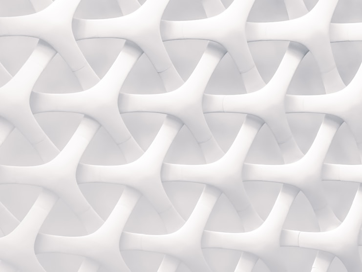 Honduras Presidential Election